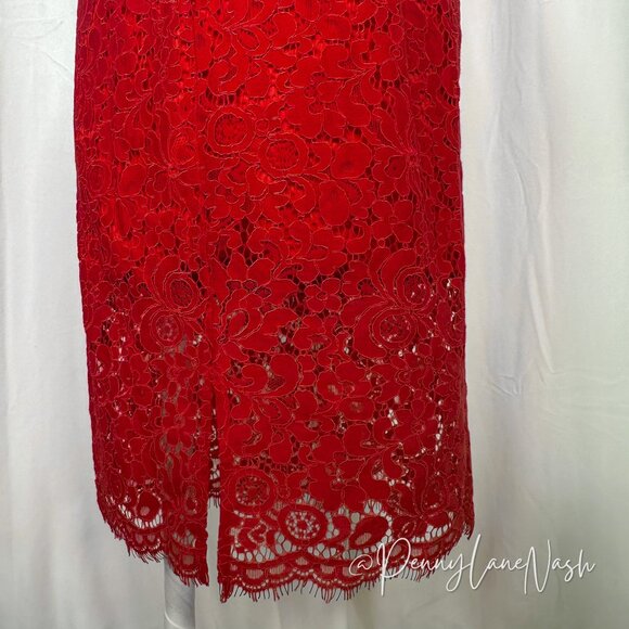 Express Red Piped Lace Midi Sheath Dress - Picture 14 of 16